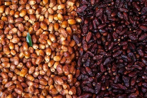 تصویر 4 از خرید خرما برحی با کیفیت + قیمت فروش استثنایی